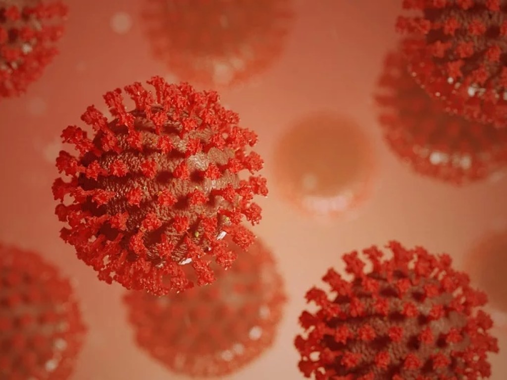 Ученые сделали невероятное открытие про коронавирус