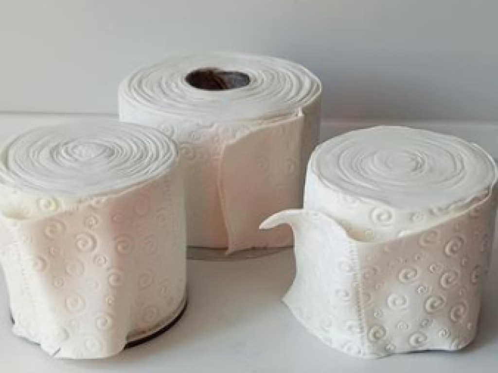 Жительница Запорожья печет торты в форме рулонов туалетной бумаги (ФОТО, ВИДЕО)
