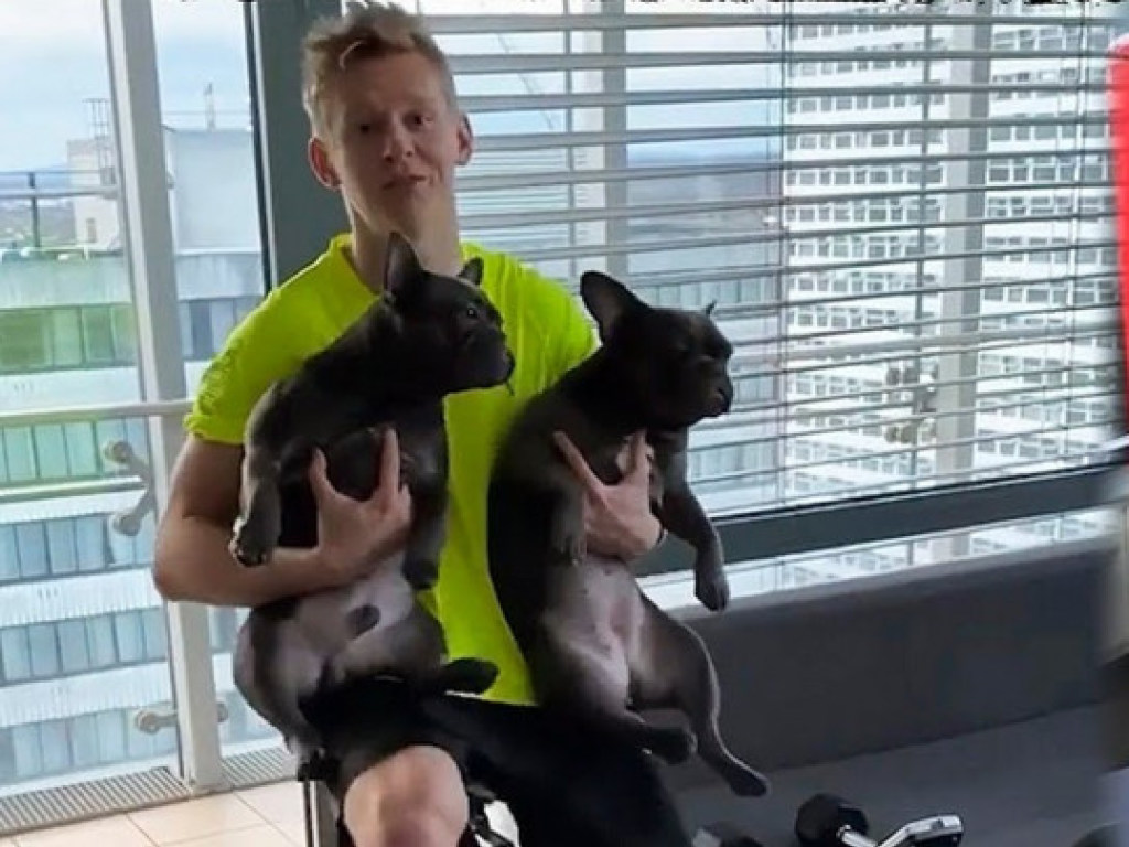 На карантине без возлюбленной: футболист Зинченко решил тренироваться с собаками (ФОТО, ВИДЕО)