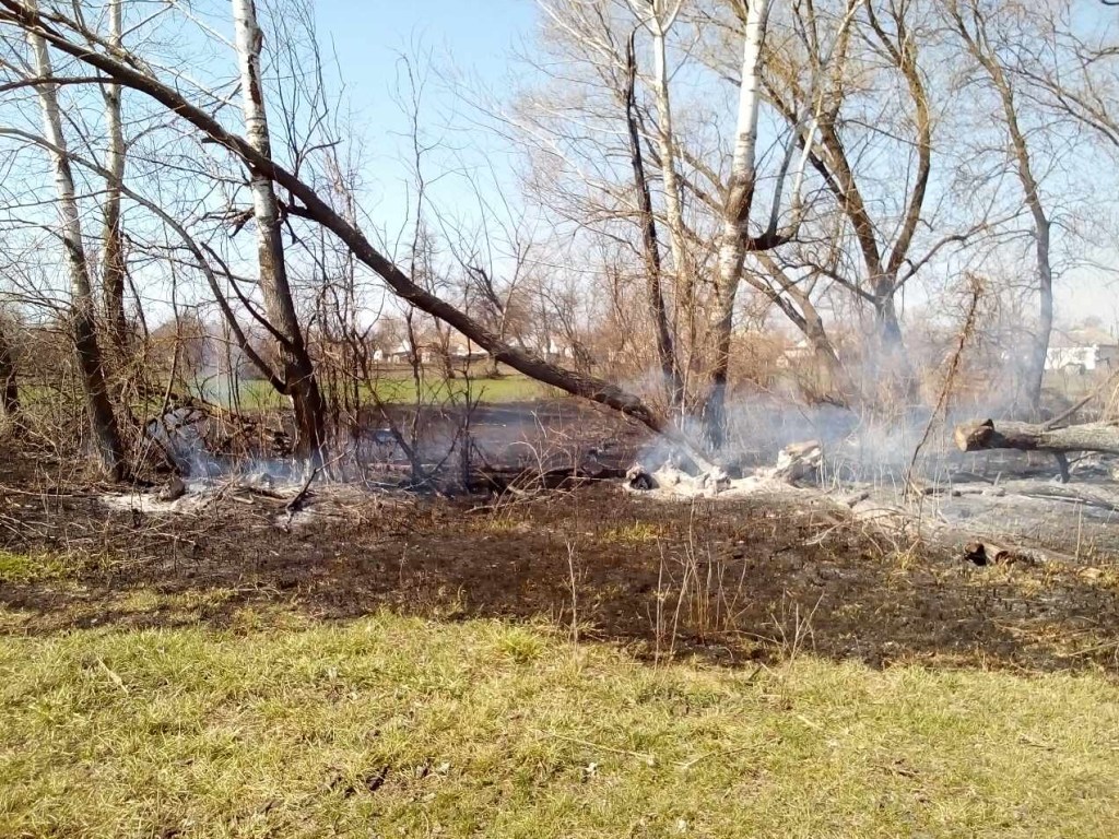 Пенсионерка чуть не сожгла село под Киевом «выкуривая» лис (ФОТО)