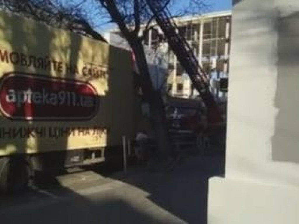 В Херсоне дерево рухнуло на припаркованный грузовик (ФОТО, ВИДЕО)