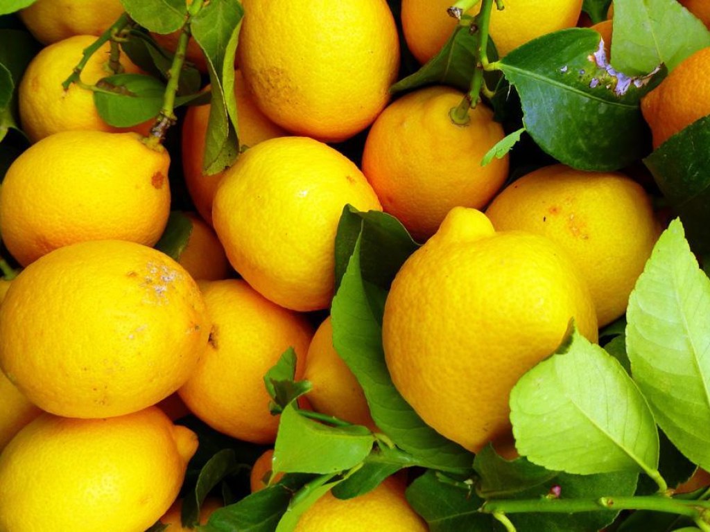 В Украине за март сильно подорожали гречка, лук, лимоны: НБУ назвал новые цены