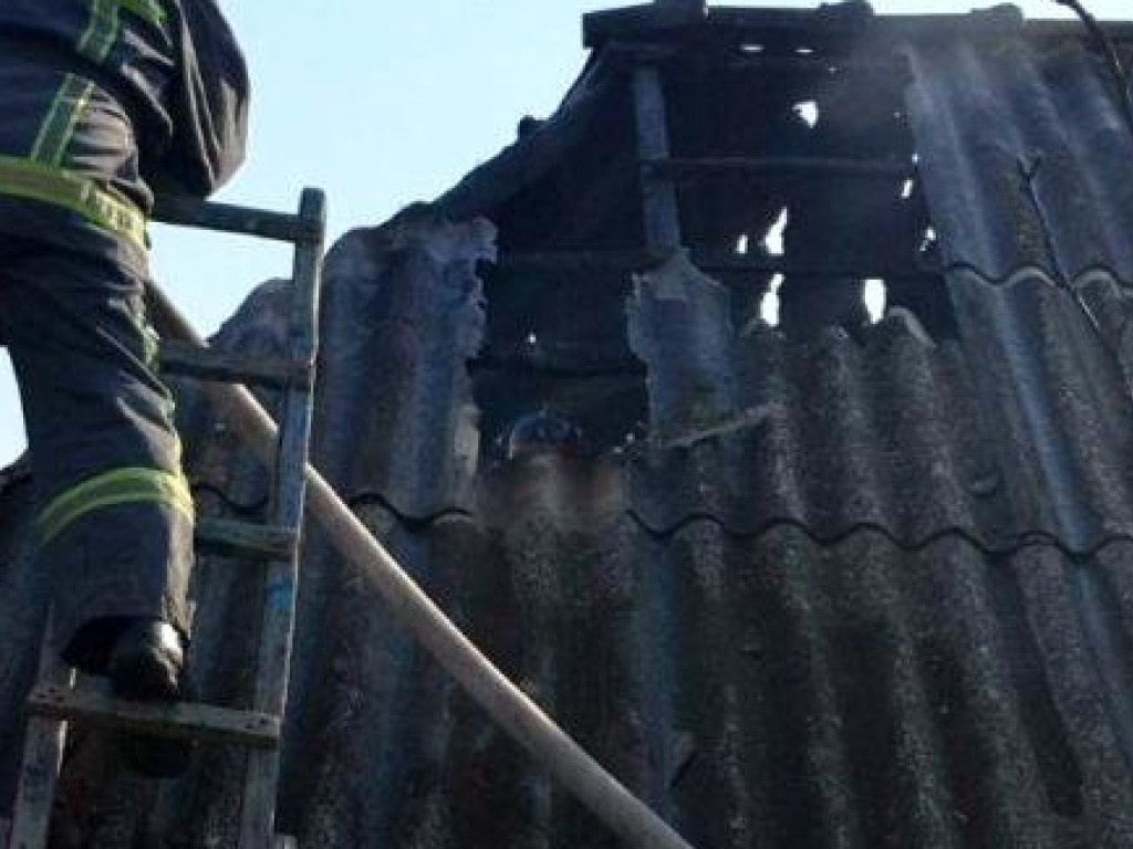 В Одесской области горела хозяйственная пристройка: погибла домашняя живность (ФОТО)