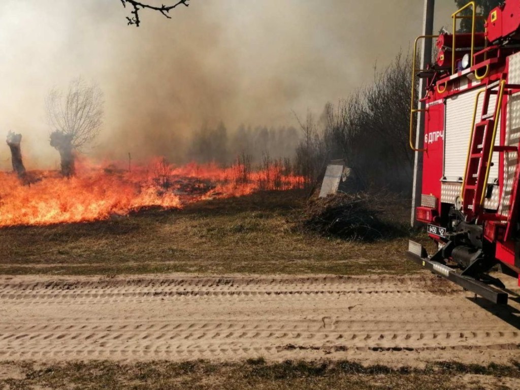 В ГСЧС поделились свежей информацией о пожаре в Чернобыльской зоне