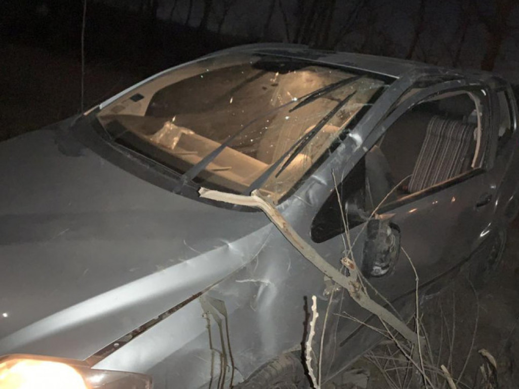 В Житомирской области Volkswagen въехал в дерево: трое травмированных (ФОТО)