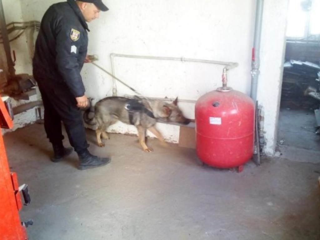 В Винницкой области  пес нашел тайник с наркотиками (ФОТО)