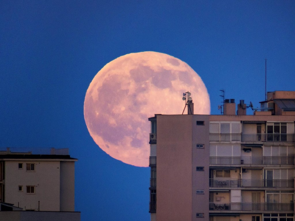 Украинцы смогут увидеть «розовую луну» в ночь на 8 апреля