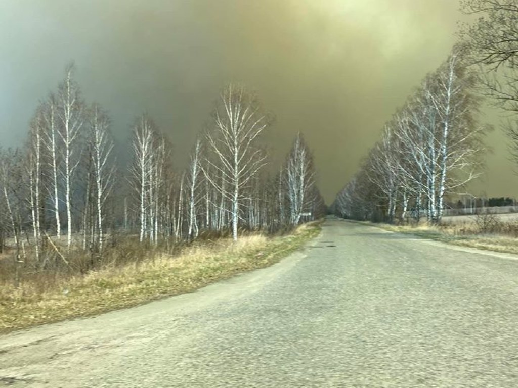 В Чернобыльской зоне увеличивается очаг пожара: в лесу уровень радиации выше нормы в 17 раз – журналист (ФОТО)