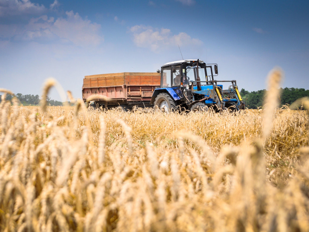 В аграрном секторе могут возникнуть задержки с посевной кампанией – экономист
