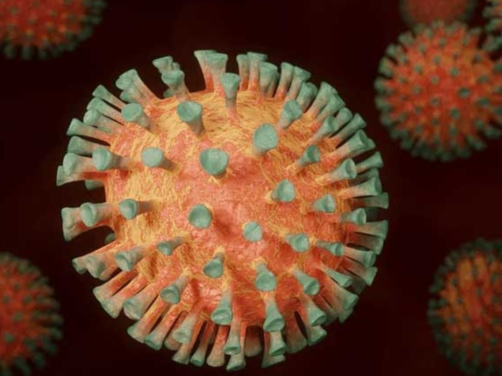Биологам из США удалось «озвучить» жизнь коронавируса