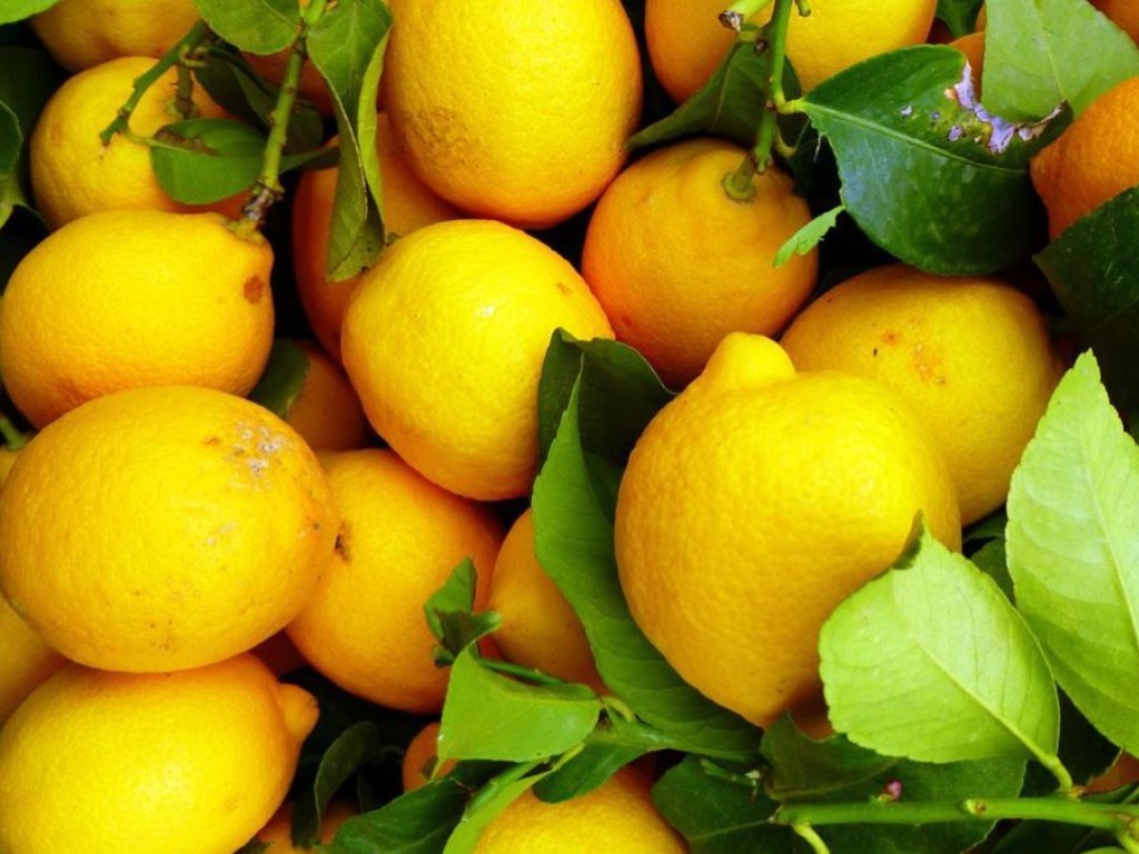 В Украине подорожают лук и лимоны – эксперт