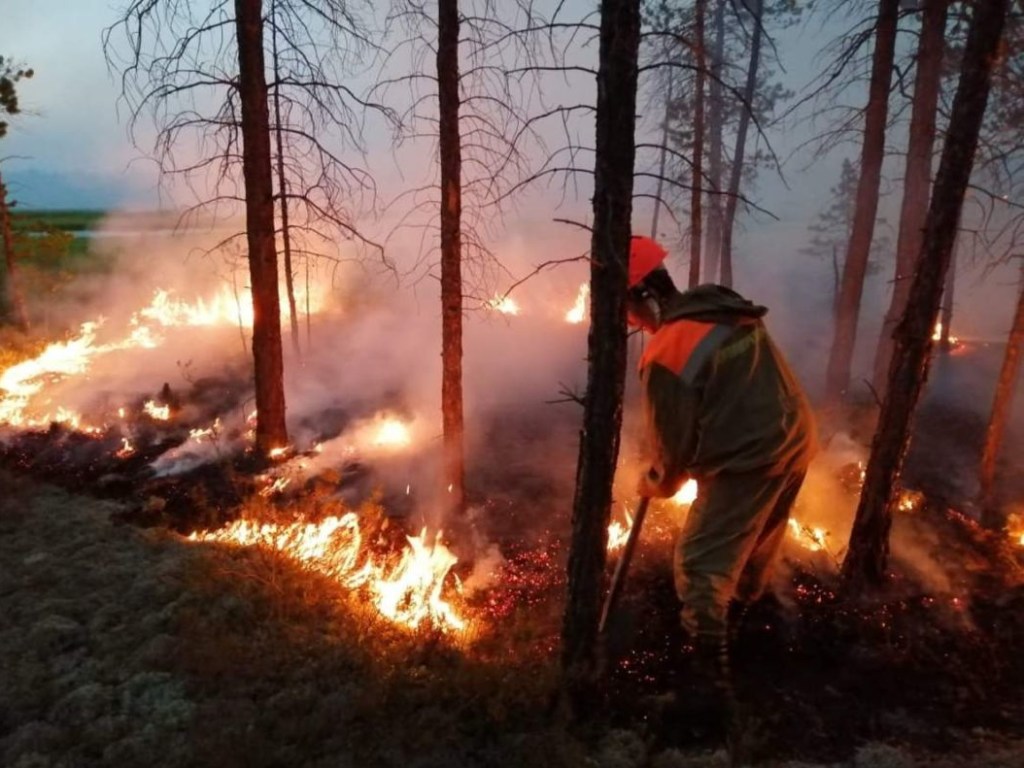 На Житомирщине лесники задержали поджигателей леса