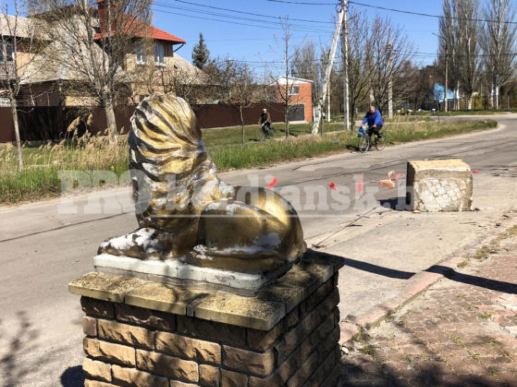 Жительница Харькова сбила льва возле отеля в Бердянске (ФОТО, ВИДЕО)