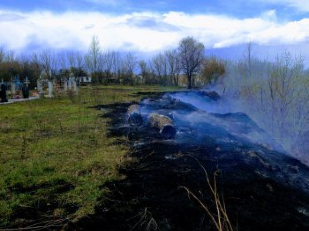 В Сумской области едва не сгорело кладбище (ФОТО, ВИДЕО)