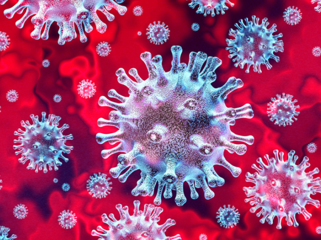 Ученые обнаружили в крови больных антитела, которыми собираются лечить зараженных коронавирусом