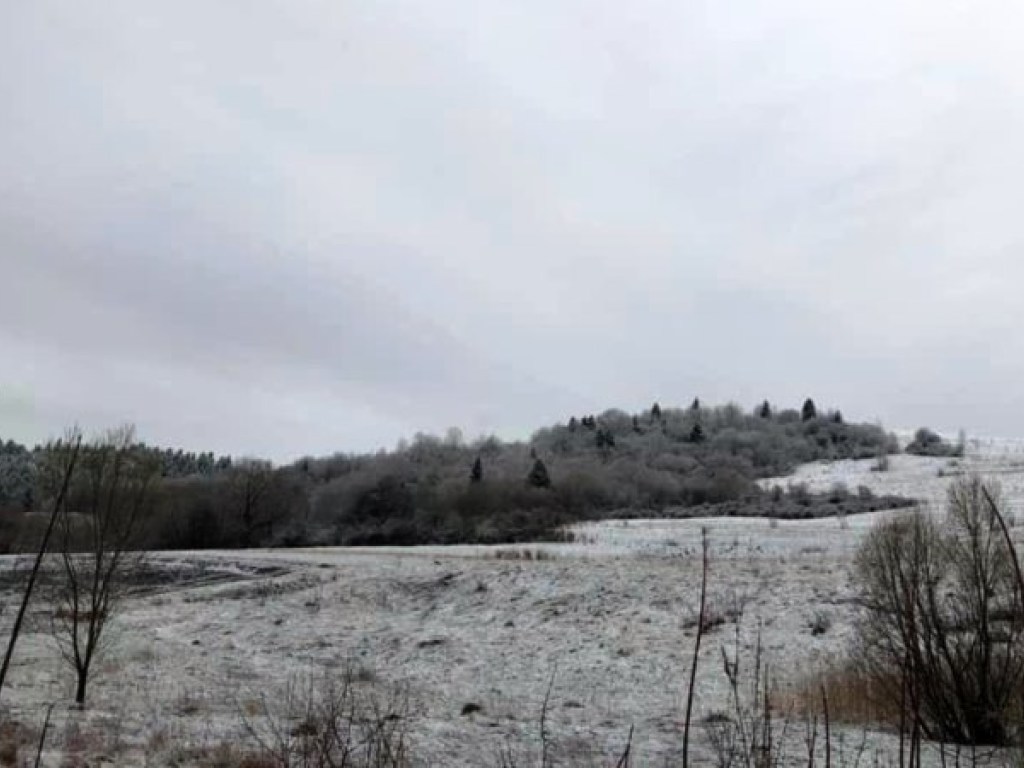 Во Львовской области в апреле выпал снег (ФОТО)