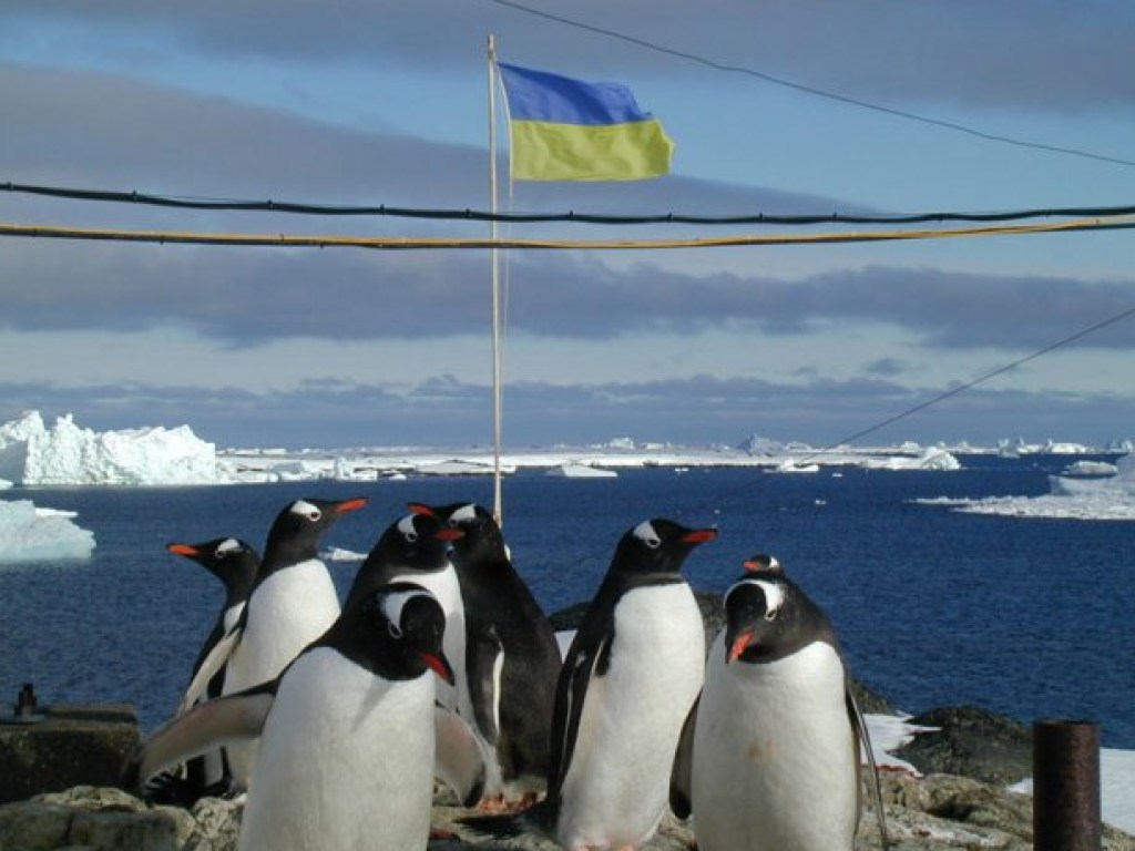 Украинские полярники после обсервации в Чили направились в Антарктиду