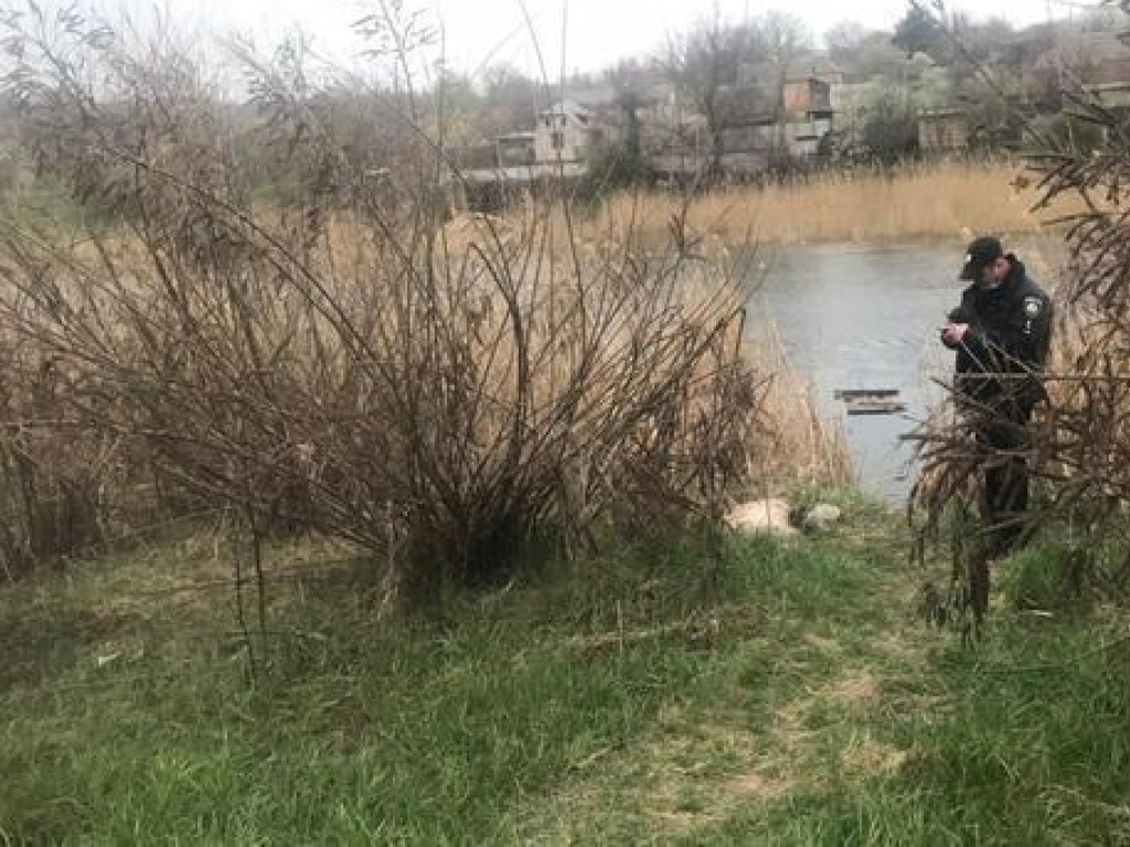 В Кривом Роге у реки нашли мешок с женским трупом без ног (ФОТО)