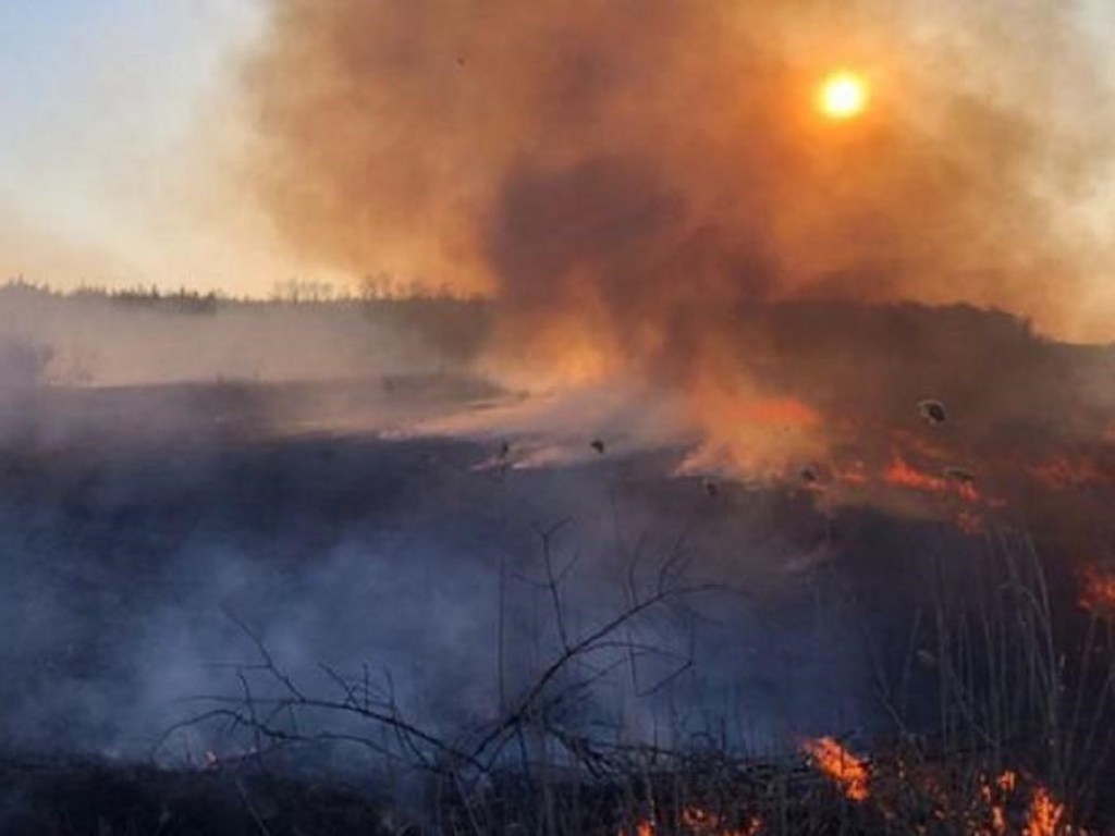 «За «распил» придется платить»: Пылевая буря, смог, новый пожар в Чернобыле
