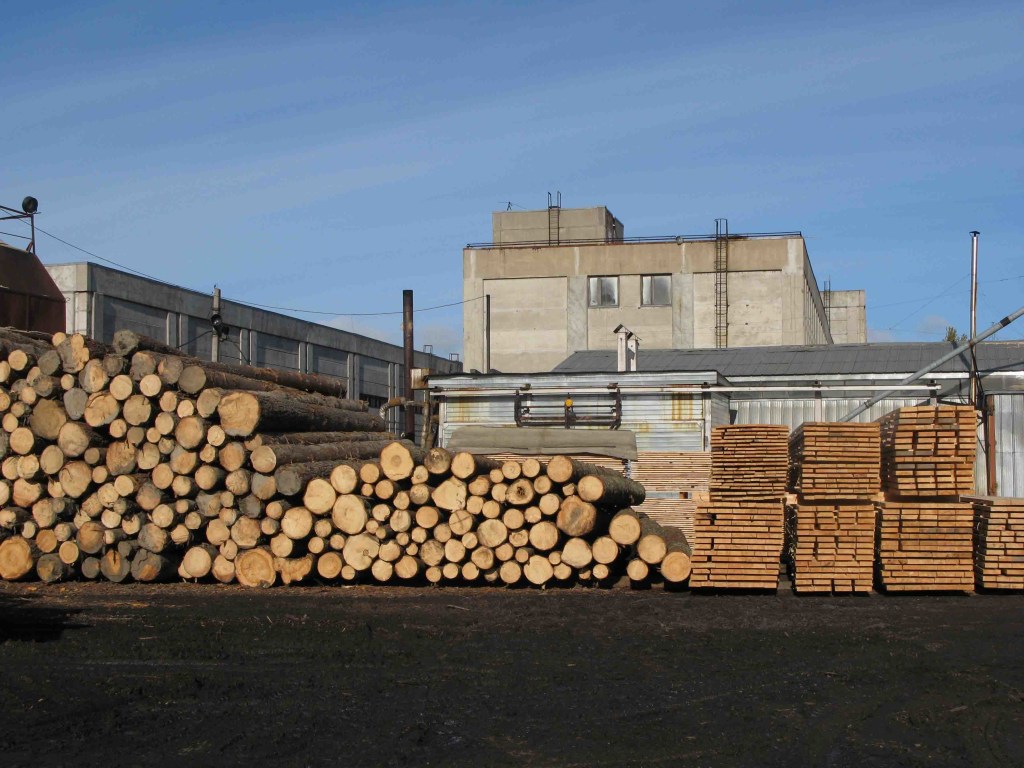 Директор лесхоза наторговал деловой древесиной на 360 тысяч гривен и срок (ФОТО)