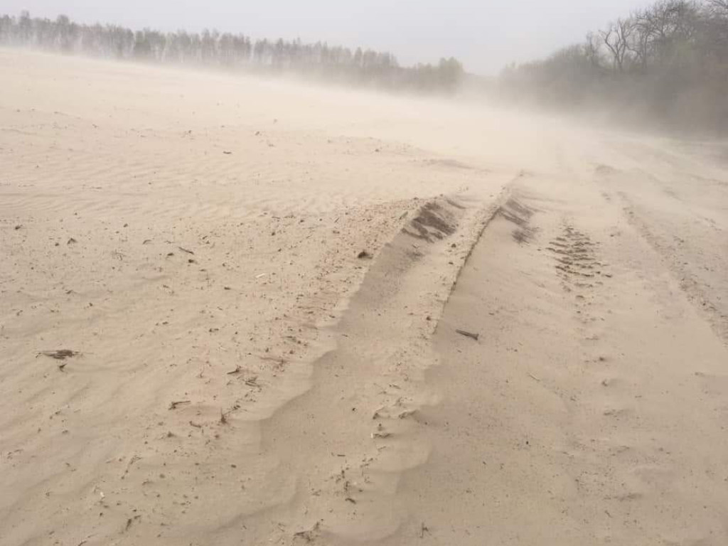 Пылевая буря превратила Черниговскую область в пустыню (ФОТО)