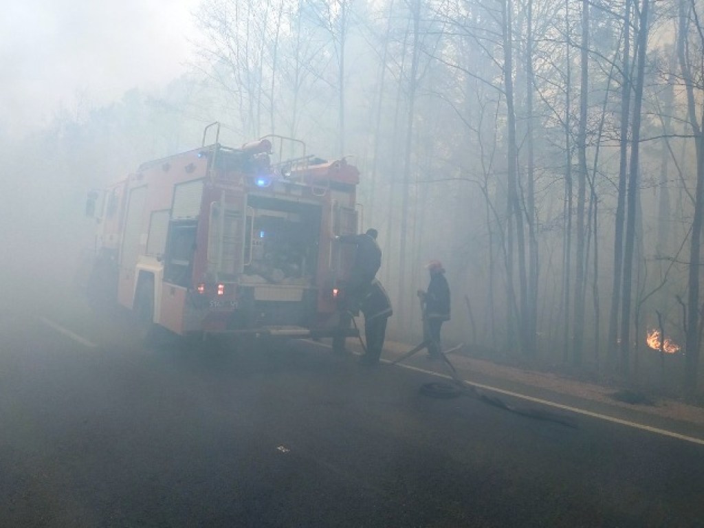 Спасатели второй день тушат пожары в Житомирской области – теперь и самолетами (ФОТО)