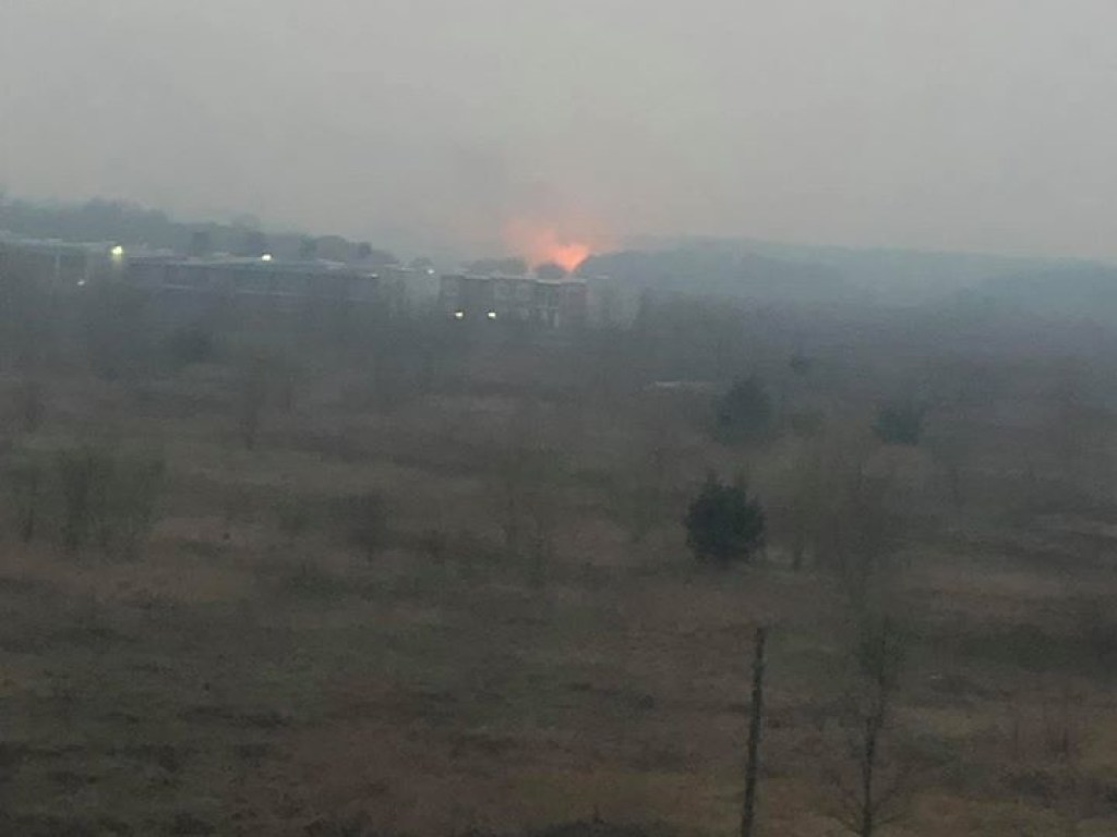 Под Киевом горит лес: местный жители подозревают поджог (ФОТО)