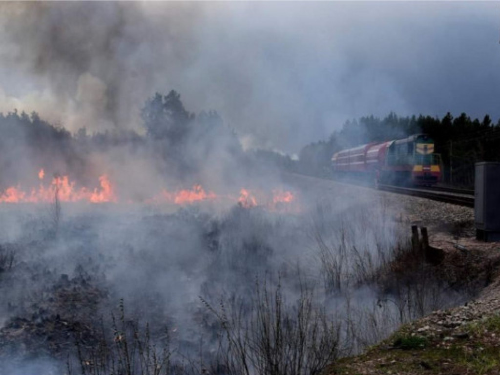 Под Киевом продолжается тушение лесных пожаров