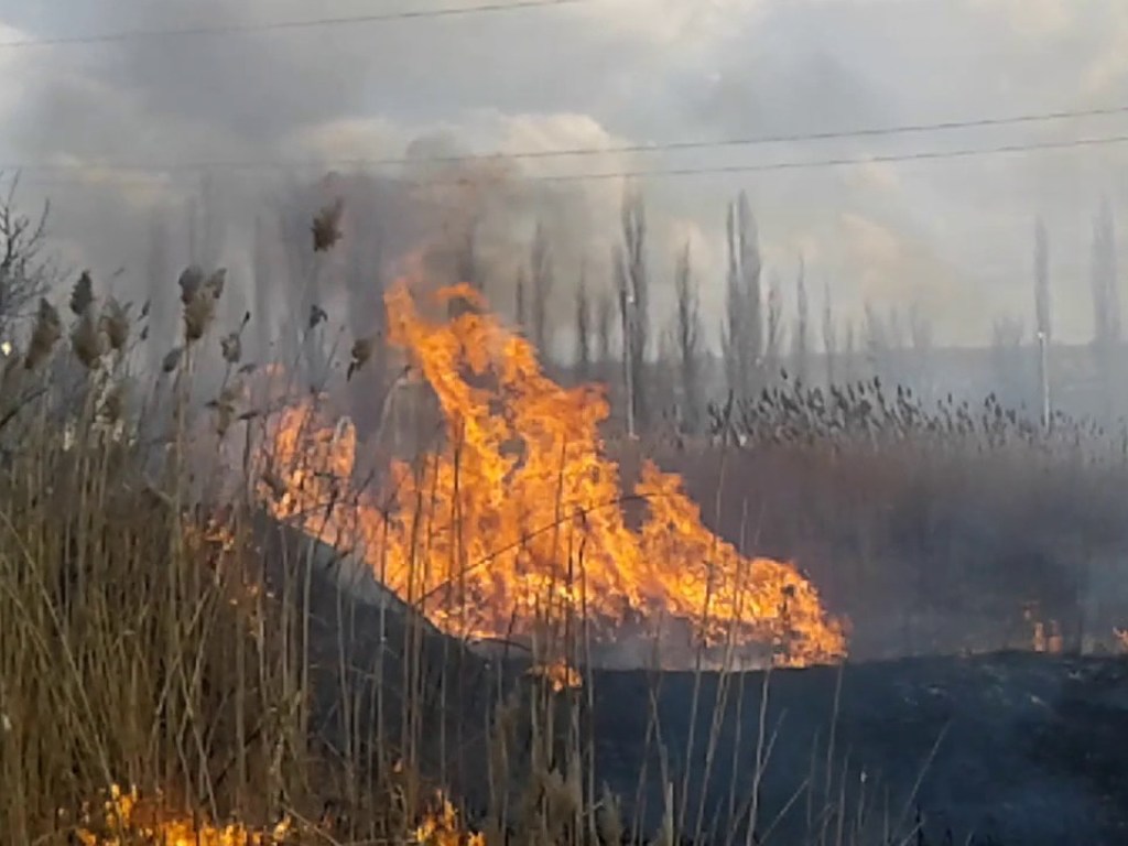 Под Киевом сгорело село из-за поджога травы (ВИДЕО)