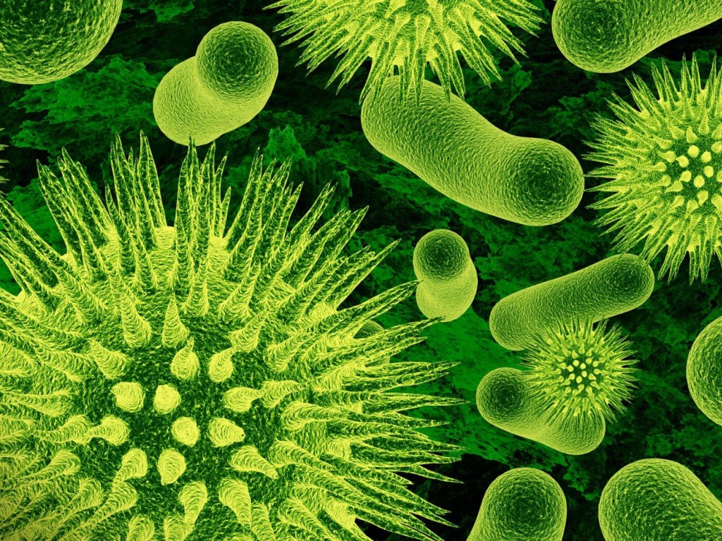 В лаборатории в Ухане прокомментировали слухи о том, что ученые «сделали» коронавирус