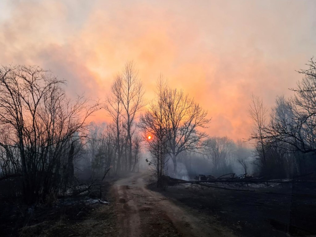 В ГСЧС сообщили, что лесные пожары могут перекинуться на территорию Беларуси