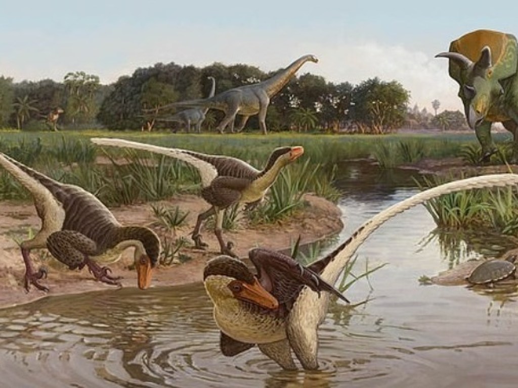Ученые показали фото пернатого динозавра: жил на Земле 67 миллионов лет назад (ФОТО)