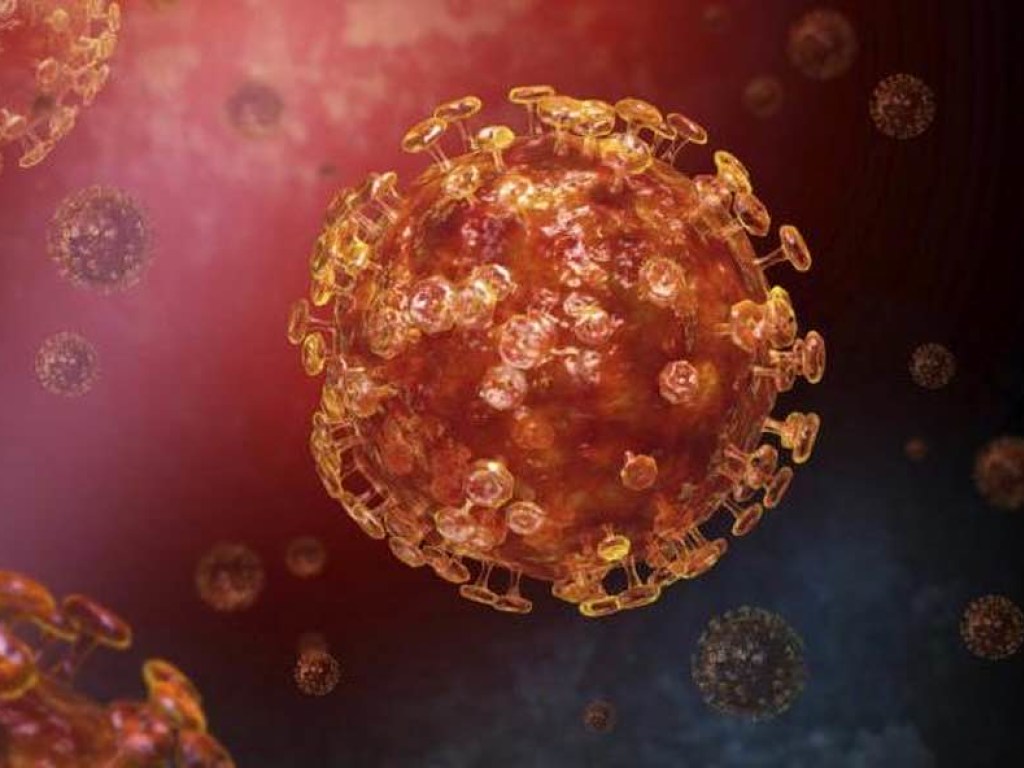 Ученые выявили первую значительную мутацию коронавируса