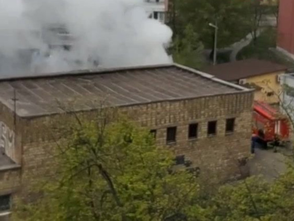 Белый столб дым: на Троещине в Киеве горел мусор (ВИДЕО)