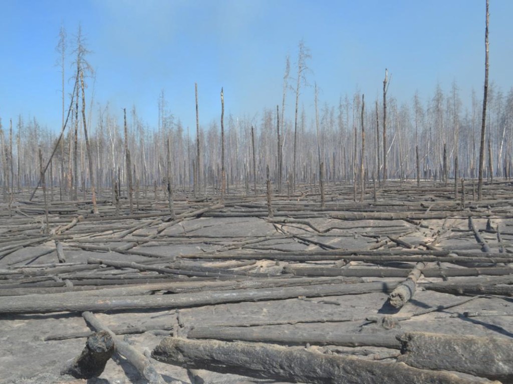 Пожары в Чернобыльской зоне: актуальные данные от ГСЧС