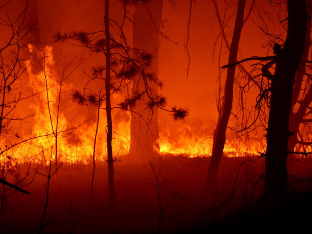 Убытки от пожаров в Житомирской области составили порядка 25 миллионов гривен
