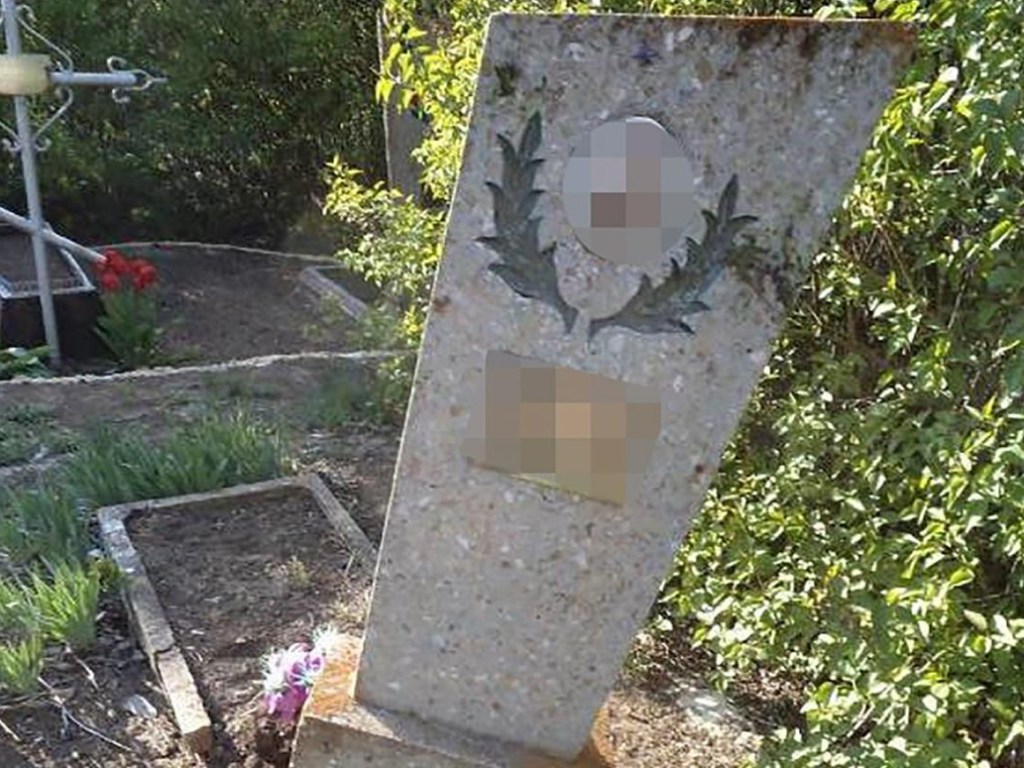 В Запорожской области 13-летний подросток разгромил кладбище (ФОТО)