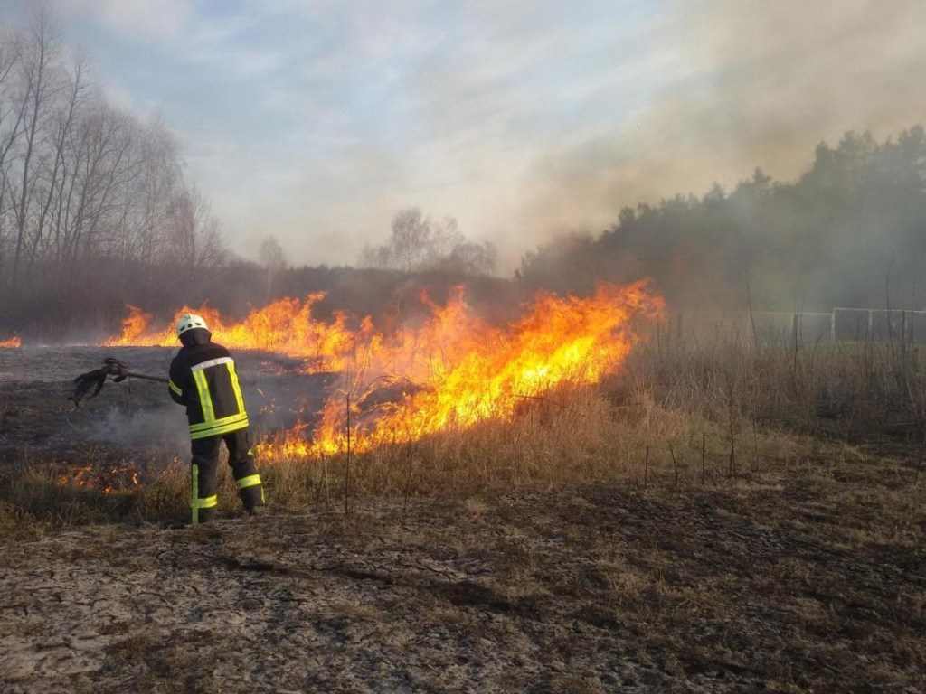 В Житомирской области снова горит лес