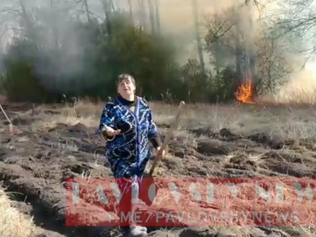 Полиция задержала подозреваемого в поджоге леса под Киевом (ФОТО, ВИДЕО)