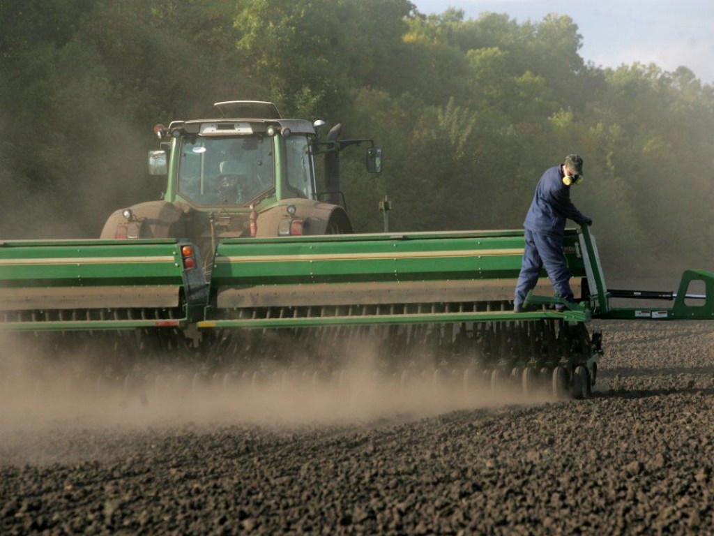 Украинские аграрии начали пересевать зерновые в некоторых регионах &#8212; эксперт