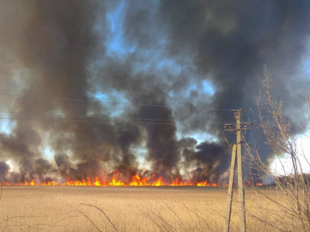 Под Киевом вспыхнул пожар: уничтожены дачные дома (ФОТО)
