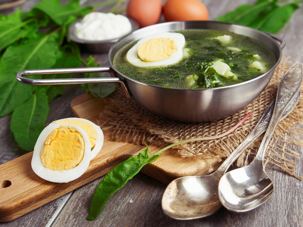 Эксперты рассказали о пользе и противопоказаниях по употреблению щавелевого супа