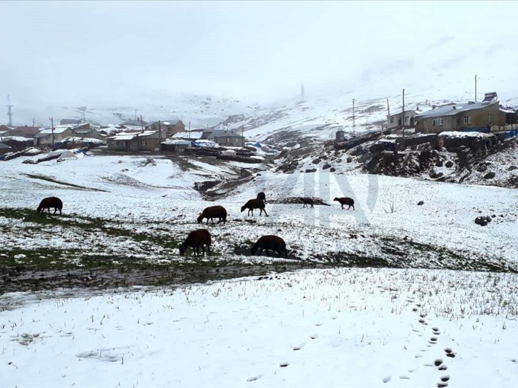 В Турции в апреле выпал снег (ФОТО)