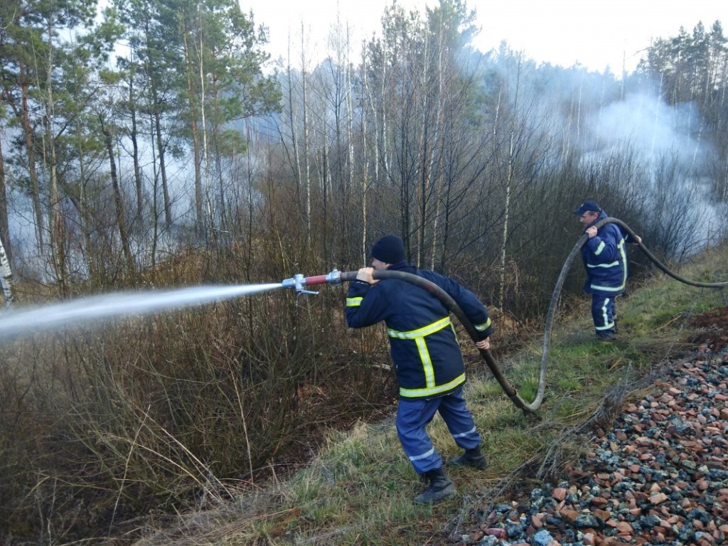 Спасателям удалось ликвидировать пожар на границе зоны ЧАЭС