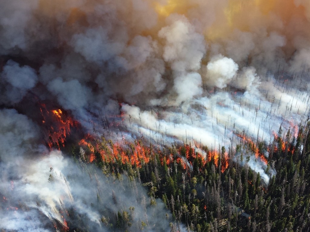 Режим ЧС объявлен в 7 регионах: В РФ пожарами охвачено около 60 тысяч гектаров лесов