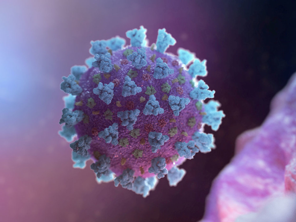 В мире количество зараженных коронавирусом превысило 3 миллиона 41 тысячу человек