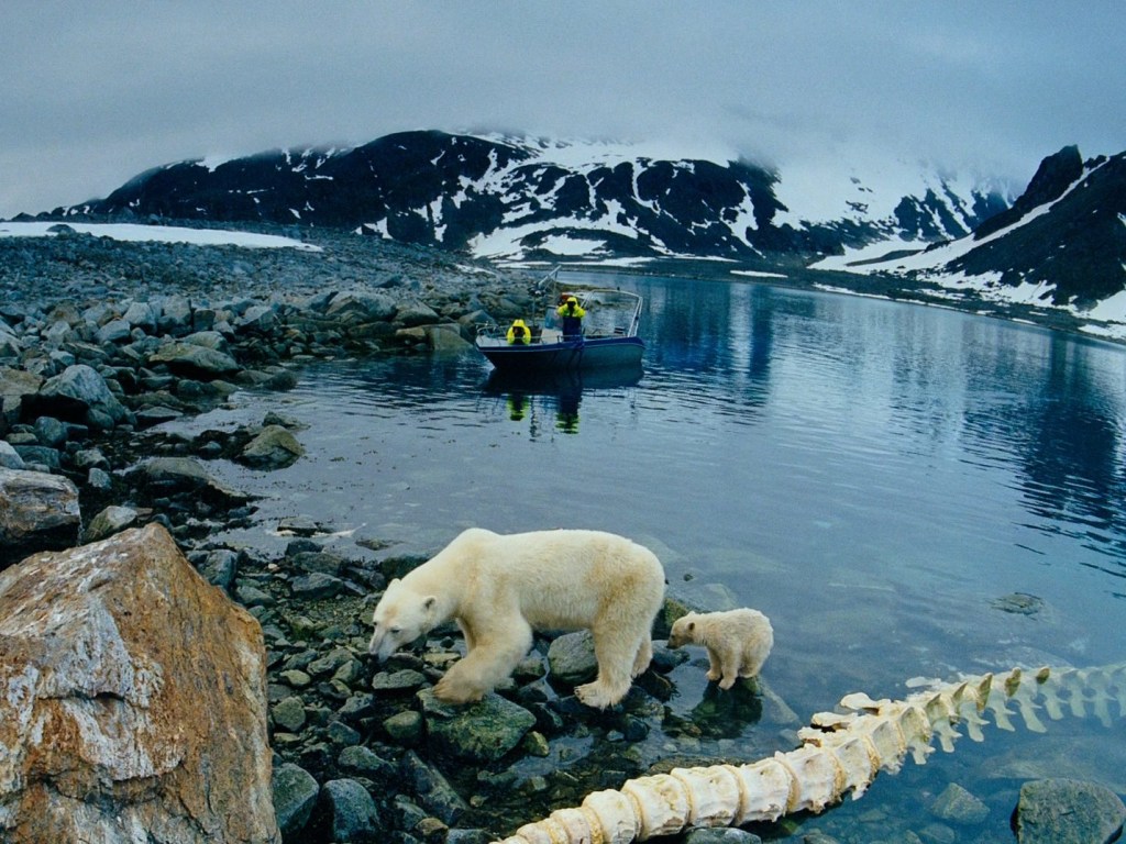 Над Арктикой восстановился озоновый слой – ученые