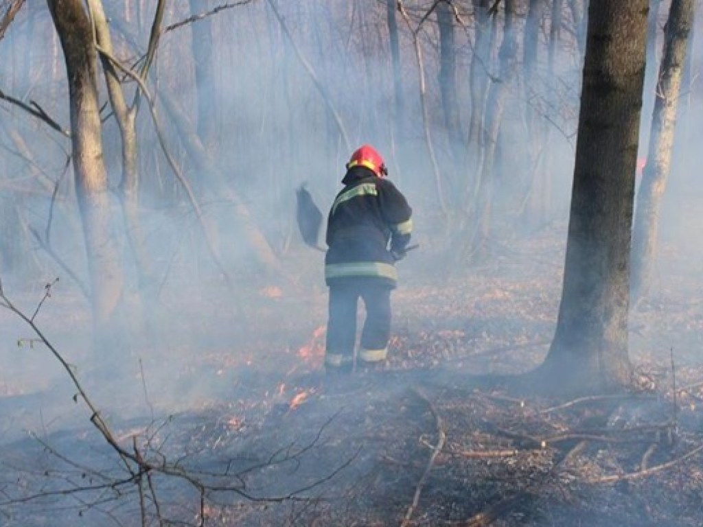Пожар на Житомирщине за сутки уничтожил 500 гектаров заповедного леса (ФОТО, ВИДЕО)