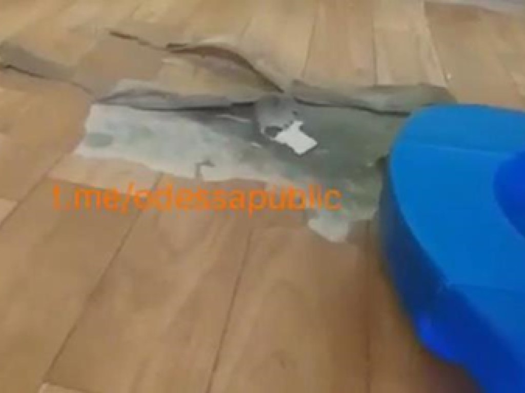 «Поела в палате и спряталась»: В Одессе на территории детской больнице заметили мышей (ВИДЕО)
