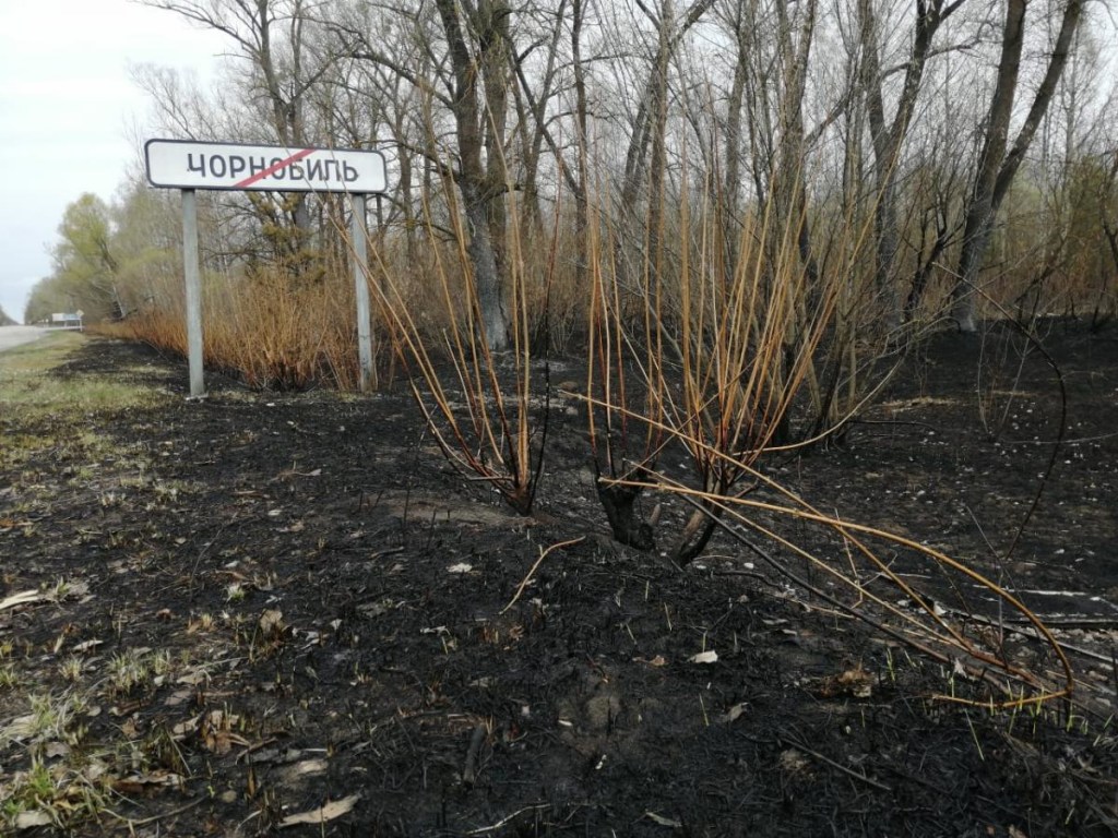 Огонь в зоне отчуждения уничтожил 5% Чернобыльского заповедника